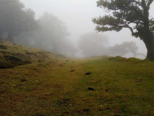 رامان السمير